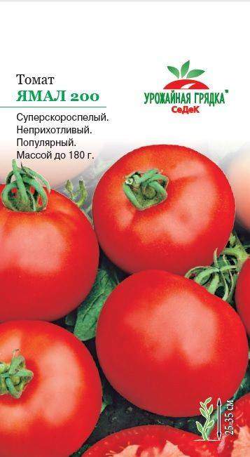 Помидоры ямал описание сорта. СЕДЕК томат Ямал 200. Томат Ямал и Ямал 200 СЕДЕК. Томат Ямал СЕДЕК.